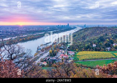 Wien, Wien: sonnenaufgang in Wien, Weinberge, Donau und Neue Donau (Neue Donau, links), Turm Donauturm, DC Tower 1, Millennium Tower, Schinken Stockfoto