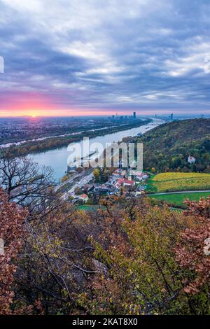 Wien, Wien: sonnenaufgang in Wien, Weinberge, Donau und Neue Donau (Neue Donau, links), Turm Donauturm, DC Tower 1, Millennium Tower, Schinken Stockfoto