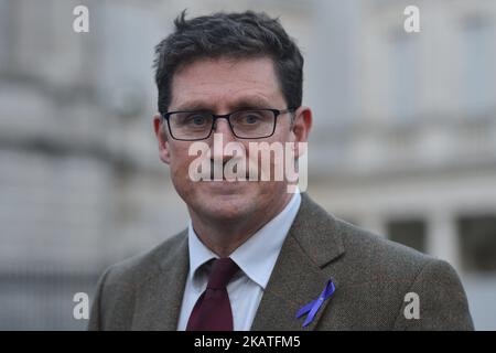 Der Vorsitzende der irischen Grünen Partei, Eamon Ryan TD, spricht vor dem Leinster House in Dublin mit den Medien. In Dublin, Irland, am Freitag, den 24. November 2017. (Foto von Artur Widak/NurPhoto) Stockfoto