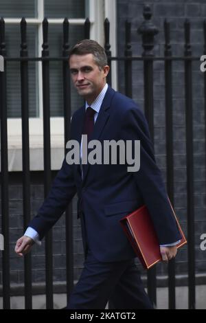 Der britische Verteidigungsminister Gavin Williamson kommt am 28. November 2017 zur wöchentlichen Kabinettssitzung in London in der Downing Street an. (Foto von Alberto Pezzali/NurPhoto) Stockfoto