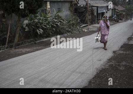 Bürger evakuieren und machen sich auf den Ausbruch des Mount Agung in Bali, Karang ASEM, Indonesien, am 28. November 2017 gefasst. Seit dem Anstieg auf Stufe 4, der höchsten Statuswarnung, ist der Ausbruch des Mount Agung bereits in einigen Gebieten von Bali mit Asche bedeckt, die Schließung des Flughafens und insgesamt 38 Tausende von Flüchtlingen. Kalte Larve traf auch einen Fluss in der Nähe von karang asem, was dem Fluss braune Farbe und einen starken Schwefelgeruch gab. (Foto von Donal Husni/NurPhoto) Stockfoto