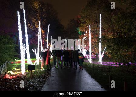 Illumination Artworks werden in Kew Gardens zur Ausstellung „Christmas at Kew“ am 3. Dezember 2017 in London gezeigt. Die Ausstellung besteht aus einem kilometerlangen Pfad, der Besucher an singenden Bäumen, einem Feuergarten, kaleidoskopischen Projektionen und riesigen, von Pflanzen inspirierten Lichtern vorbeiführt. (Foto von Alberto Pezzali/NurPhoto) Stockfoto