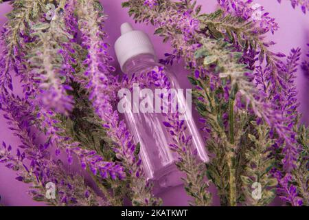 Flüssiger Lavendelextrakt in transparenter Flasche liegt mit Lavendelblüten auf violettem Hintergrund Stockfoto