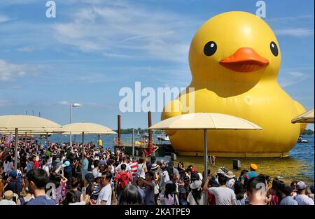 Die größte Gummiente der Welt kam am 03. Juli 2017 in Toronto, Ontario, Kanada, an. Die riesige Gummiente besuchte die Stadt Toronto im Rahmen des Redpath Waterfront Festivals. Die 13.600 kg schwere aufblasbare Ente wurde vom niederländischen Künstler Florentijn Hofman kreiert und ist mehr als 27 Meter lang und fast sechs Stockwerke hoch. (Foto von Creative Touch Imaging Ltd./NurPhoto) Stockfoto
