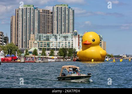 Die größte Gummiente der Welt kam am 03. Juli 2017 in Toronto, Ontario, Kanada, an. Die riesige Gummiente besuchte die Stadt Toronto im Rahmen des Redpath Waterfront Festivals. Die 13.600 kg schwere aufblasbare Ente wurde vom niederländischen Künstler Florentijn Hofman kreiert und ist mehr als 27 Meter lang und fast sechs Stockwerke hoch. (Foto von Creative Touch Imaging Ltd./NurPhoto) Stockfoto