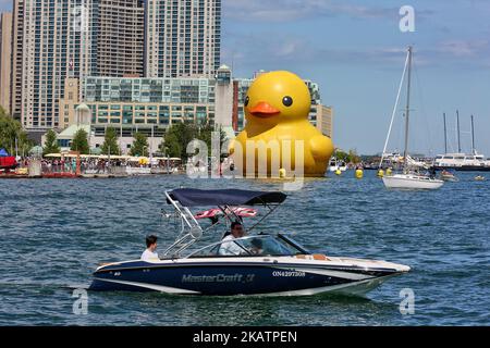 Die größte Gummiente der Welt kam am 03. Juli 2017 in Toronto, Ontario, Kanada, an. Die riesige Gummiente besuchte die Stadt Toronto im Rahmen des Redpath Waterfront Festivals. Die 13.600 kg schwere aufblasbare Ente wurde vom niederländischen Künstler Florentijn Hofman kreiert und ist mehr als 27 Meter lang und fast sechs Stockwerke hoch. (Foto von Creative Touch Imaging Ltd./NurPhoto) Stockfoto