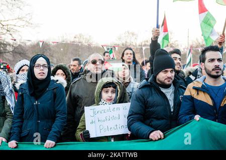 Nachdem der amerikanische Präsident Donald Trump Jerusalem zur Hauptstadt Israels ernannt und die Vorbereitungen für den Umzug der US-Botschaft von Tel Aviv nach Jerusalem bekannt gegeben hat, Die palästinensische Gemeinschaft in den Niederlanden kündigte am 12. Dezember 2017 eine massive Demonstration in Den Haag an, wo sich die amerikanische Botschaft befindet. Rund 200 Menschen versammelten sich, um gegen Palästina zu protestieren und ihre Unterstützung zu zeigen. Es gab einige Spannungen, als einige der Demonstranten versuchten, vor der amerikanischen Botschaft zu demonstrieren, aber die Polizei und auch der Rest der Demonstranten hielten die Dinge in Ruhe. (Foto von Romy Arroyo Stockfoto