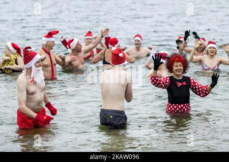 Am 25. Dezember 2017 besuchen Mitglieder des Schwimmvereins 'Berliner Seehunde' ihr traditionelles Eis-Weihnachtsschwimmbad im Berliner Orankesee. (Foto von Emmanuele Contini/NurPhoto) Stockfoto