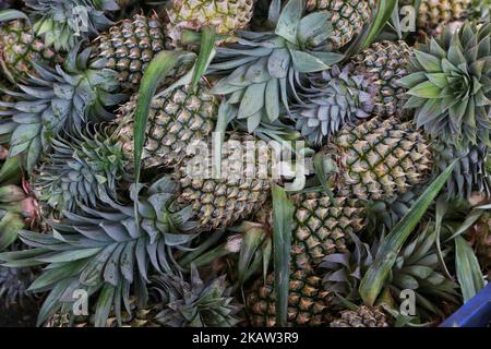 Frisch geerntete Ananas auf einer Ananasfarm in einem abgelegenen Gebiet in Mannar, Sri Lanka. Dieser Betrieb baut organische und biodynamische Ananas an und beschäftigt Landarbeiter, die in benachteiligten Gebieten Sri Lankas leben, um ihren Lebensstandard zu verbessern. (Foto von Creative Touch Imaging Ltd./NurPhoto) Stockfoto