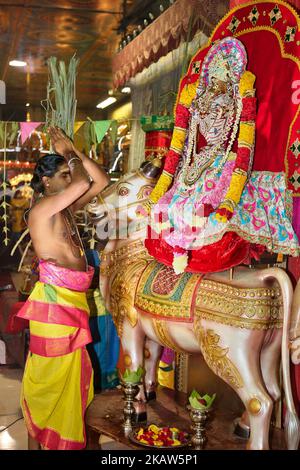 Der tamilische Hindu-Priester betet am 14. Januar 2018 während des Thai Pongal Festivals in einem tamilischen Hindu-Tempel in Ontario, Kanada, besonders für Lord Ganesh. Das tamilische Fest des thailändischen Pongal ist ein Dankfest zu Ehren des Sonnengottes (Lord Surya) und feiert eine erfolgreiche Ernte. (Foto von Creative Touch Imaging Ltd./NurPhoto) Stockfoto