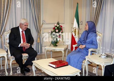 Maryam Rajavi und Newt Gingrich, ehemaliger Sprecher des Repräsentantenhauses der Vereinigten Staaten, treffen sich am 19. Januar 2018 im Büro des NCRI, Auvers sur Oise, nördlich von Paris, Frankreich. Sie unterstützen den Aufstand des iranischen Volkes wegen eines Regimewechsels. (Foto von Siavosh Hosseini/NurPhoto) Stockfoto