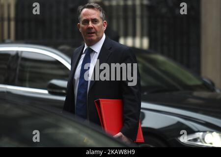 Der britische Minister für internationalen Handel, Liam Fox, verlässt das Land, nachdem er am 23. Januar 2018 an der wöchentlichen Kabinettssitzung in der Downing Street Nr. 10 im Zentrum von London teilgenommen hatte. Premierministerin Theresa May und eine Reihe führender Minister wiesen Boris Johnson während des Kabinettstreffens zu, nachdem sein Plan, mehr Mittel für den NHS zu fordern, vor dem Treffen den Medien ausführlich vorgestellt wurde. (Foto von Alberto Pezzali/NurPhoto) Stockfoto