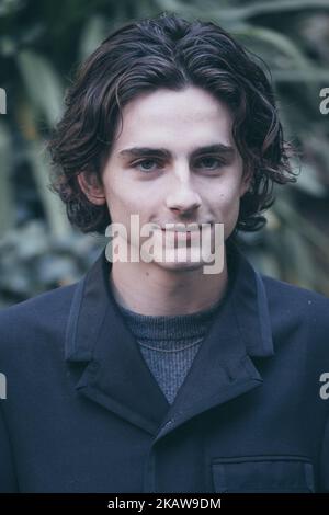 Schauspieler Timothee Chalamet nimmt am 24. Januar 2018 in Rom, Italien, an der Fotokonferenz „Chiamami Col Tuo Nome (Call Me By Your Name)“ im De Russie Hotel Teil. (Foto von Luca Carlino/NurPhoto) Stockfoto