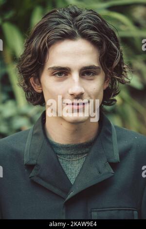 Schauspieler Timothee Chalamet nimmt am 24. Januar 2018 in Rom, Italien, an der Fotokonferenz „Chiamami Col Tuo Nome (Call Me By Your Name)“ im De Russie Hotel Teil. (Foto von Luca Carlino/NurPhoto) Stockfoto