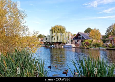 Das Flussufer in Shepperton an einem ruhigen Herbsttag Surrey England Großbritannien Stockfoto
