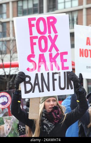 Mitglieder von People for the Ethical Treatment of Animals (PETA) und andere Tierrechtsaktivisten marschierten am 29. Januar 2017 durch die Innenstadt von Toronto, Ontario, Kanada, um gegen den Pelzhandel und die Verwendung von Fell in Mode zu protestieren. Demonstranten hielten vor dem Canada Goose Store sowie mehrere Furrier an und nahmen den Protest schließlich im Toronto Eaton Centre auf, bevor sie von Polizei und Sicherheit eskortiert wurden. (Foto von Creative Touch Imaging Ltd./NurPhoto) Stockfoto