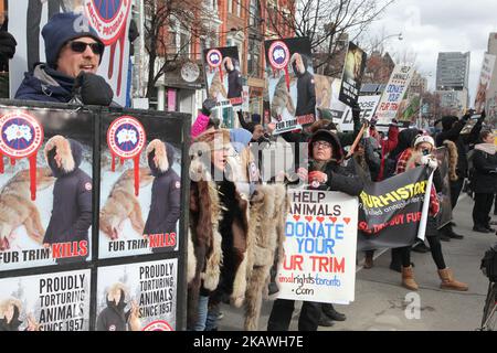 Mitglieder von People for the Ethical Treatment of Animals (PETA) und andere Tierrechtsaktivisten marschierten am 29. Januar 2017 durch die Innenstadt von Toronto, Ontario, Kanada, um gegen den Pelzhandel und die Verwendung von Fell in Mode zu protestieren. Demonstranten hielten vor dem Canada Goose Store sowie mehrere Furrier an und nahmen den Protest schließlich im Toronto Eaton Centre auf, bevor sie von Polizei und Sicherheit eskortiert wurden. (Foto von Creative Touch Imaging Ltd./NurPhoto) Stockfoto