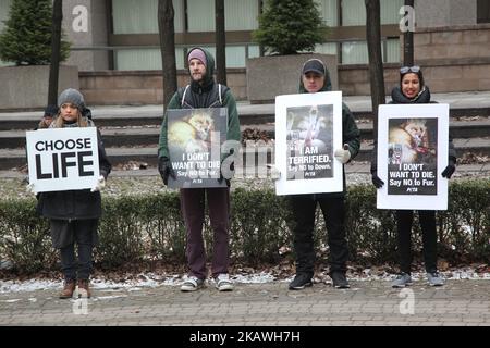 Mitglieder von People for the Ethical Treatment of Animals (PETA) und andere Tierrechtsaktivisten marschierten am 29. Januar 2017 durch die Innenstadt von Toronto, Ontario, Kanada, um gegen den Pelzhandel und die Verwendung von Fell in Mode zu protestieren. Demonstranten hielten vor dem Canada Goose Store sowie mehrere Furrier an und nahmen den Protest schließlich im Toronto Eaton Centre auf, bevor sie von Polizei und Sicherheit eskortiert wurden. (Foto von Creative Touch Imaging Ltd./NurPhoto) Stockfoto