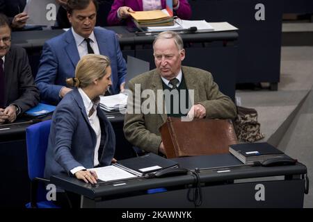 Die Fraktionsvorsitzenden der AfD-Partei Alice Weidel (L) und Alexander Gauland (R) sind während der 14. Plenarsitzung im Bundestag am 22. Februar 2018 in Berlin abgebildet. (Foto von Emmanuele Contini/NurPhoto) Stockfoto