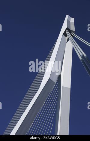 Erasmusbrug oder Erasmus-Brücke in Rotterdam, Niederlande am 25. Februar 2018. Die berühmte Kabelbrücke ist nach Desiderius Erasmus aus Rotterdam benannt. Die Brücke hat einen Spitznamen, genannt 'der Schwan'. Es wurde 1996 in Höhe von 165 Millionen Euro gebaut. Die Gesamtlänge der Brücke beträgt 802 Meter und ist 139m Meter hoch. Es ist die Bascule Brücke ist die größte und schwerste in West-Euroope. Heute ist ein Meilenstein für Rotterdam, die Niederlande und Europa, wo viele Veranstaltungen stattfinden und in vielen Filmen zu sehen sind. (Foto von Nicolas Economou/NurPhoto) Stockfoto