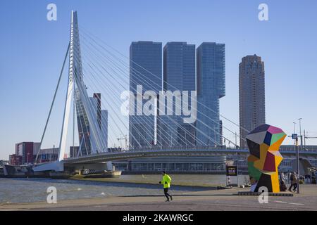 Erasmusbrug oder Erasmus-Brücke in Rotterdam, Niederlande am 25. Februar 2018. Die berühmte Kabelbrücke ist nach Desiderius Erasmus aus Rotterdam benannt. Die Brücke hat einen Spitznamen, genannt 'der Schwan'. Es wurde 1996 in Höhe von 165 Millionen Euro gebaut. Die Gesamtlänge der Brücke beträgt 802 Meter und ist 139m Meter hoch. Es ist die Bascule Brücke ist die größte und schwerste in West-Euroope. Heute ist ein Meilenstein für Rotterdam, die Niederlande und Europa, wo viele Veranstaltungen stattfinden und in vielen Filmen zu sehen sind. (Foto von Nicolas Economou/NurPhoto) Stockfoto