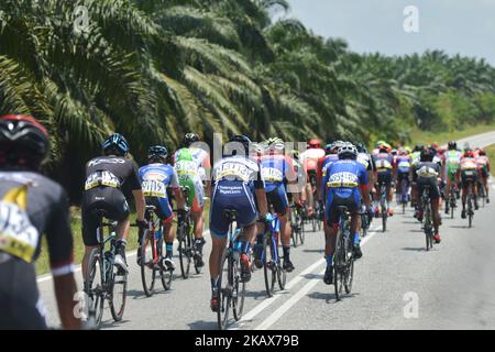 Die Fahrer passieren in der Nähe einer Palmenplantage, während der Eröffnungsphase, eine 147,9km von Kangar nach Kulim, der 2018 Le Tour de Langkawi. Am Sonntag, 18. März 2018, in Kangar, Kedah, Malaysia. (Foto von Artur Widak/NurPhoto) Stockfoto