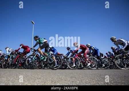 72 FORMOLO, Davide (ITA) von BORA HANSGROHE und 106 FABBRO, Matteo (ITA) von TEAM KATUSHA ALPECIN in der Mitte des Feldes während der 98. Volta Ciclista a Catalunya 2018 / Etappe 3 Sant Cugat - Camprodon von 153km während der Tour of Catalunya, 21.. März 2018 in Torello, Spanien. (Foto von Xavier Bonilla/NurPhoto) Stockfoto