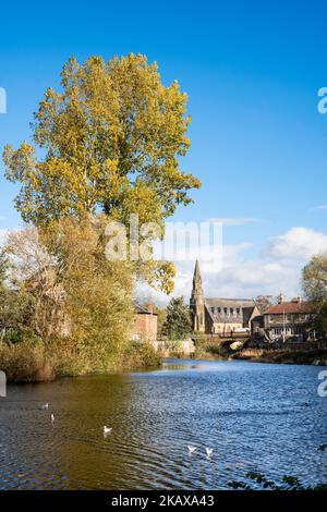 Herbstansicht entlang des Flusses Wansbeck in Morpeth, Northumberland, England, Großbritannien Stockfoto