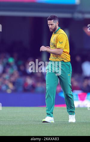 SCG, NSW, Australien: 3.. November 2022; T20 World Cup Cricket, Pakistan gegen Südafrika: Wayne Parnell aus Südafrika wärmt sich vor dem Spielbeginn auf Stockfoto