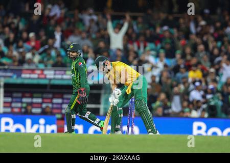 SCG, NSW, Australien: 3.. November 2022; T20 World Cup Cricket, Pakistan gegen Südafrika: Aiden Markram aus Südafrika ist für 20 Läufe ausgekrümmt Stockfoto