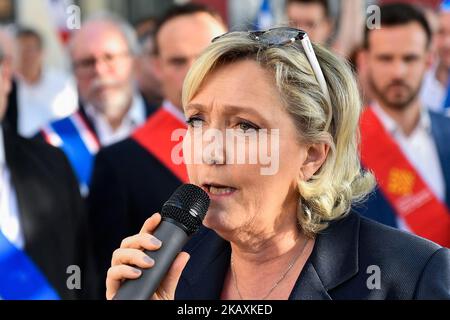 Die Präsidentin der rechtsextremen Front National (FN)-Partei Frankreichs, Marine Le Pen, nimmt am 20. April 2018 an einer Kundgebung gegen die Einwanderungspolitik der französischen Regierung neben der Nationalversammlung in Paris Teil. (Foto von Julien Mattia/NurPhoto) Stockfoto