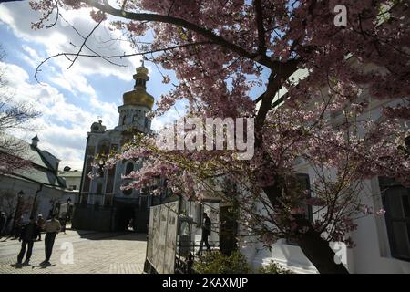 Am 23. April 2018 blüht ein japanischer Kirschbaum im Kiewer Pechersk Lavra des Moskauer Patriarchats in Kiew, Ukraine. Der Heilige und große Rat des Ökumenischen Patriarchats hat den Appell des Präsidenten der Ukraine Petro Poroschenko und der Hierarchen der Ukrainischen Orthodoxen Kirchen an den Ökumenischen Patriarchen Bartholomäus zur Prüfung angenommen, die Autokephalie an die Orthodoxe Kirche in der Ukraine zu übergeben (Foto: Sergii Charchenko/NurPhoto) Stockfoto