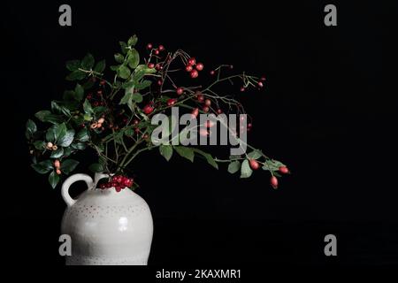 Zweige von roten Beeren in weißer Vase. Stockfoto