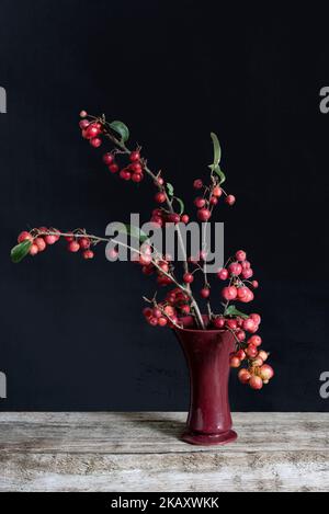 Zweige von dekorativen Apfel interra cota Vase Stockfoto