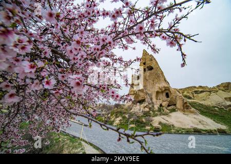 Göreme Freilichtmuseum in Kappadokien, in der Provinz Nevsehir in Zentralanatolien, Türkei. Es ist ein klösterlicher Komplex mit sehr gut erhaltenen geschnitzten Kirchen in den vulkanischen Felsen. Die Kirchen stammen aus dem 10.. Jahrhundert und sind heute UNESCO-Weltkulturerbe. Das breitere Gebiet wurde von den Griechen gebaut, um vor Kämpfen in der Vergangenheit geschützt zu werden. Bis 1923 lebten hier noch Griechen. Die Kirchen hier sind berühmt für die Fresken, aber berühmt sind auch die bekannten Feenkamine, die vulkanische Felsformationen in einer hohen konischen Form sind. (Foto von Nicolas Economou/NurPhoto) Stockfoto