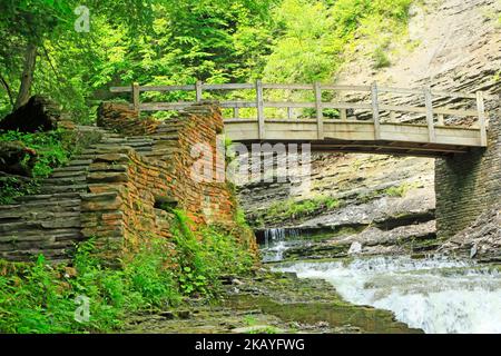 Trail in Stony Brook SP - New York Stockfoto