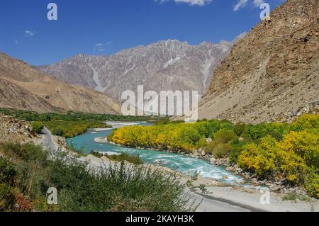 Farbenfrohe Herbstgebirgslandschaft im GUNT-Flusstal mit türkisblauem Wasser und goldenem Laub, Gorno-Badakshan, Tajikistan Pamir Stockfoto