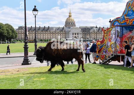 Am 19. Juni 2018 wurden auf der 'Esplanade des Invalides' in Paris, Frankreich, Tierkreiszirkusse eingerichtet, um den Beschuldigungen des Missbrauchs in Anwesenheit von Marcel Campion, bekannt als König von Forrains, entgegenzuwirken.(Foto: Julien Mattia/NurPhoto) Stockfoto