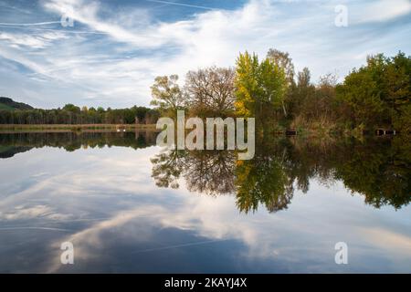 Biodiversität Haff Reimech, Feuchtgebiet und Naturschutzgebiet in Luxemburg, Teich umgeben von Schilf und Bäumen, Vogelbeobachtungspunkt Stockfoto