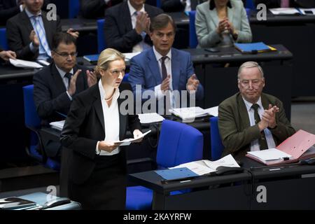 Alice Weidel (C), die Fraktionsvorsitzende der AfD, kommt am 4. Juli 2018 zu einer Rede während der Plenarsitzung des Deutschen Bundestages 45. in Berlin. (Foto von Emmanuele Contini/NurPhoto) Stockfoto