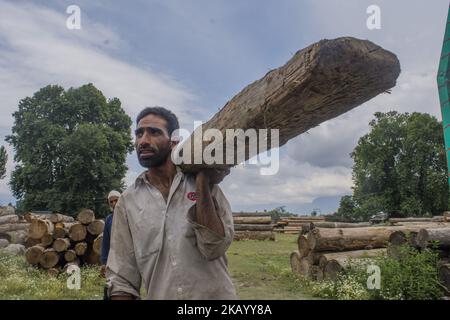 Kashmiri Holzfäller laden Baumstämme am 5. Juli 2018 in Srinagar, der Sommerhauptstadt des indisch verwalteten Kaschmir, Indien, auf einen Holzfäller auf. Holzfällerarbeiten in Kaschmir bleiben meist unterbezahlt und sind nicht gegen Unfall versichert. Die meisten werden als Gelegenheitsarbeiter in der Holztransportkette in Srinagar eingesetzt. Aufgrund der Art ihrer Arbeit haben Holzfäller einen ungewöhnlichen Gang, da sie an orthopädischen Erkrankungen, insbesondere chronischen Rückenschmerzen, leiden. (Foto von Kabli Yawar /NurPhoto) (Foto von Kabli Yawar/NurPhoto) Stockfoto