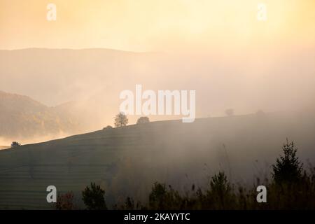 Schöner Weg nach Maly Rozsutec von Biely Potok - in der slowakischen Mala Fatra. Sonniges Herbstpanorama. Stockfoto