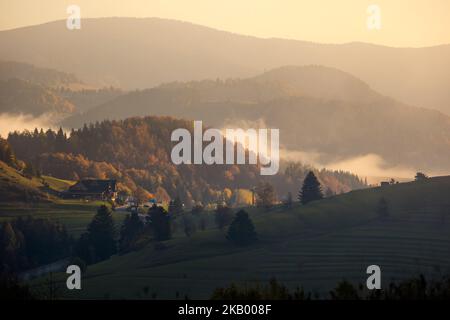 Schöner Weg nach Maly Rozsutec von Biely Potok - in der slowakischen Mala Fatra. Sonniges Herbstpanorama. Stockfoto