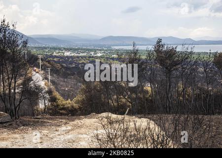 Bilder aus dem weiteren Gebiet von Mati und Neos Voutsas im östlichen Attika bei Athen nach dem Brand. Das Feuer, das am 23. Juli 2018 stattfand, war eine der Würden des Jahrhunderts. Die Zahl der Todesopfer wurde auf 88 erhöht. Viele Menschen werden immer noch vermisst und die Forschung läuft noch. Das Gebiet ist immer noch ohne Strom. Die erste Zählung war, dass 2500 Häuser zerstört wurden. 28. Juli 2018 - Mati, Attica, Griechenland (Foto von Nicolas Economou/NurPhoto) Stockfoto