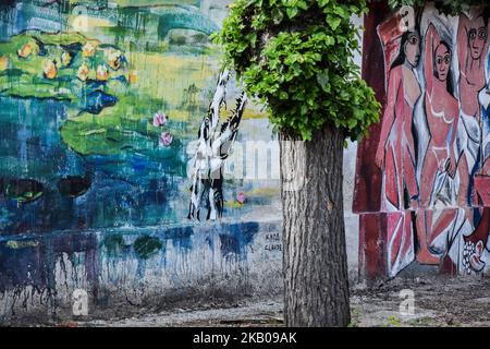 Claude Monet - Seerosen. 2018 wird als das Jahr in die Geschichte eingehen, in dem am 04. August 2018 die erste offizielle Abteilung des New Yorker MoMA im Dorf Staro Zhelezare in Bulgarien eröffnet wurde. Phänomen auf globaler Ebene, da alle größten Kunstwerke aus der Sammlung des MoMA nun in der offenen Galerie im ländlichen Raum dem Dorfpublikum zur permanenten Besichtigung zur Verfügung stehen. Verantwortlich für das ehrgeizige Projekt ist das Künstlerduo Piriankov Art - Katarzyna und Ventsislav Piriankov sowie 8 ihrer besten Studenten der Universität der Künste in Posen, Polen. Für nur 2 Wochen, die Stockfoto