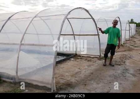 Salzanbau bei Lamujong in Banda Aceh, Indonesien am 2. August 2018. Indonesien ist von Salzwasser umgeben und gibt jedes Jahr immer noch zig Millionen Dollar für die Einfuhr von Salz aus. (Foto von Anton Raharjo/NurPhoto) Stockfoto