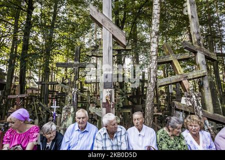 Teilnehmer, die am 19. August 2018 auf dem Berg Grabarka, Polen, von hölzernen heiligen Kreuzen umgeben waren. (Foto von Celestino Arce/NurPhoto) Stockfoto