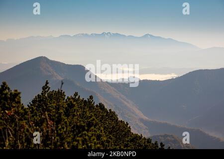 Schöner Weg nach Maly Rozsutec von Biely Potok - in der slowakischen Mala Fatra. Sonniges Herbstpanorama. Stockfoto