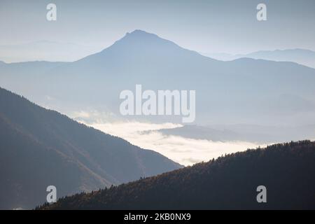 Schöner Weg nach Maly Rozsutec von Biely Potok - in der slowakischen Mala Fatra. Sonniges Herbstpanorama. Stockfoto