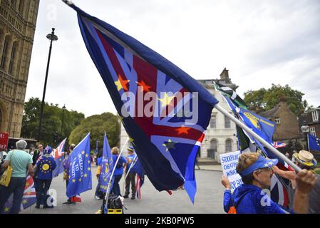 Demonstratoren versammeln sich vor dem Parlament, um gegen den Brexit zu protestieren, schwenken EU- und Unionsflaggen und ein Plakat mit der Aufschrift „Brexit is IT Worth IT?“, London, am 4. September 2018. (Foto von Alberto Pezzali/NurPhoto) Stockfoto